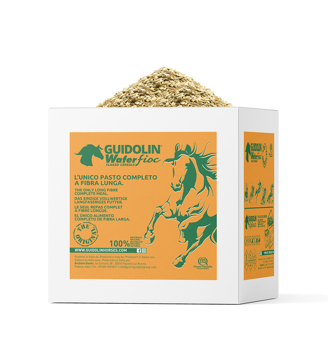 Avena fioccata mangime semplice per conigli, cavalli, ovicaprini, pollame e bovini