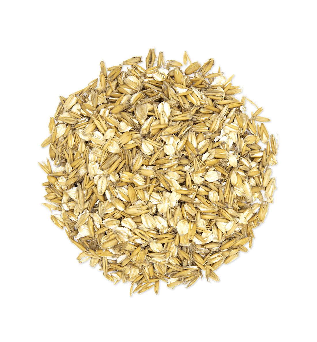 Avena fioccata mangime semplice per conigli, cavalli, ovicaprini, pollame e bovini