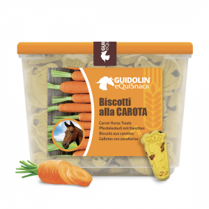 Biscotti alla carota per cavalli anteprima