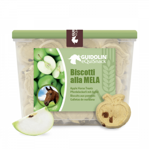 Biscotti alla mela per cavalli anteprima