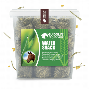 Snack con fieno e cereali per cavalli 2.5kg