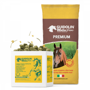 Wafer per cavalli con fieno e cereali fioccati per cavallo sportivo