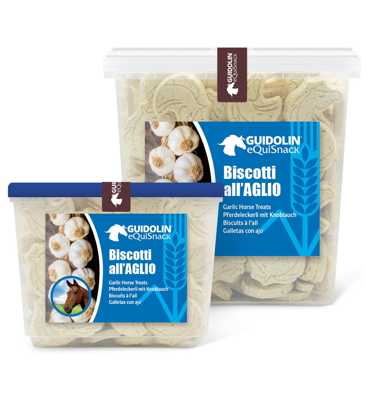 Biscotti aglio per cavalli in formati